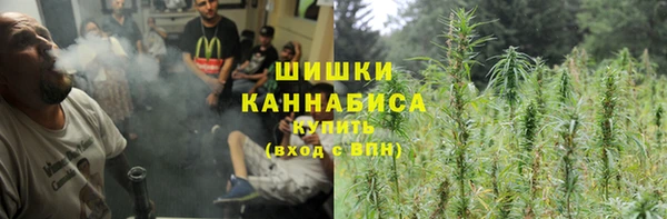 амф Елабуга