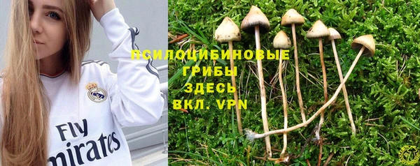 не бодяженный Ельня