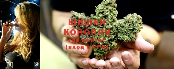 амф Елабуга